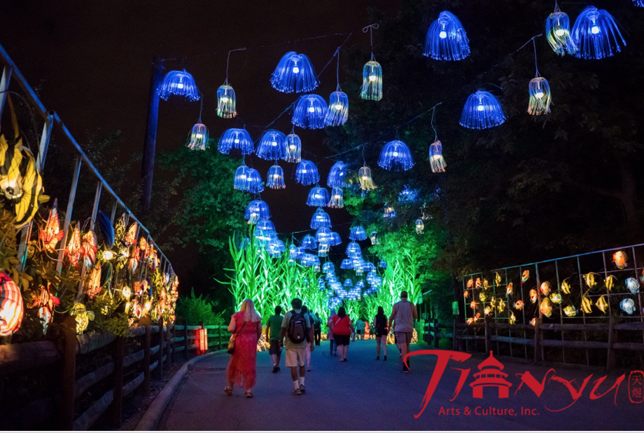 Asian Lantern Festival 2020-022.png